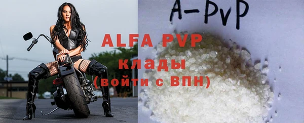 бошки Белокуриха