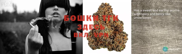 ГАЛЛЮЦИНОГЕННЫЕ ГРИБЫ Новодвинск