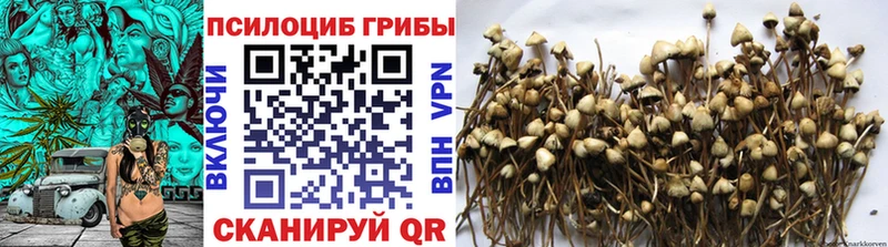 где купить наркотик  Пятигорск  Псилоцибиновые грибы прущие грибы 